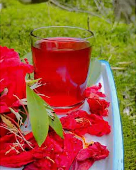 Rhodo (Buranshबुरांश) Juice Squash – A Himalayan Elixir - Himachalbox.com