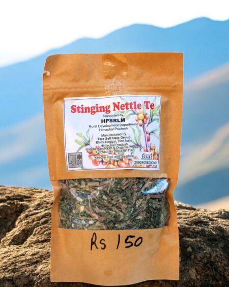 Stinging Nettle Tea – Herbal Wellness Drink from Kullu Himachal 50g HimachalBox