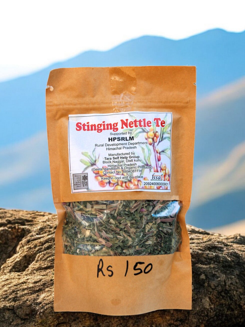 Stinging Nettle Tea – Herbal Wellness Drink from Kullu Himachal 50g HimachalBox