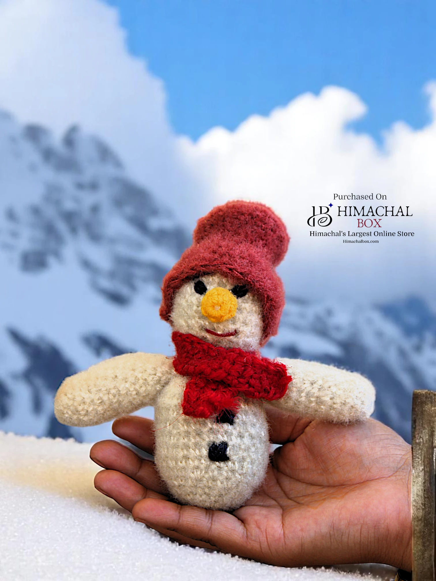 Handmade Hand Crochet Blue Bird Pair – Adorable Decorative Toy Set | Available on HimachalBox