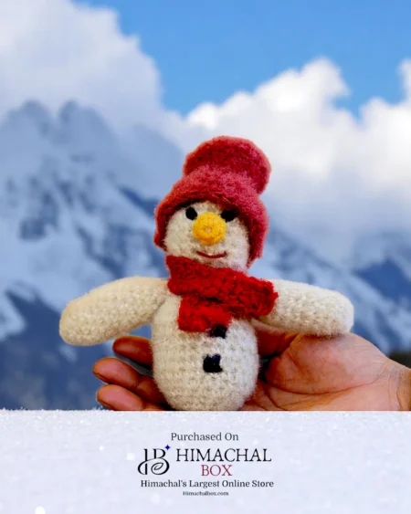 Handmade Hand Crochet Blue Bird Pair – Adorable Decorative Toy Set | Available on HimachalBox