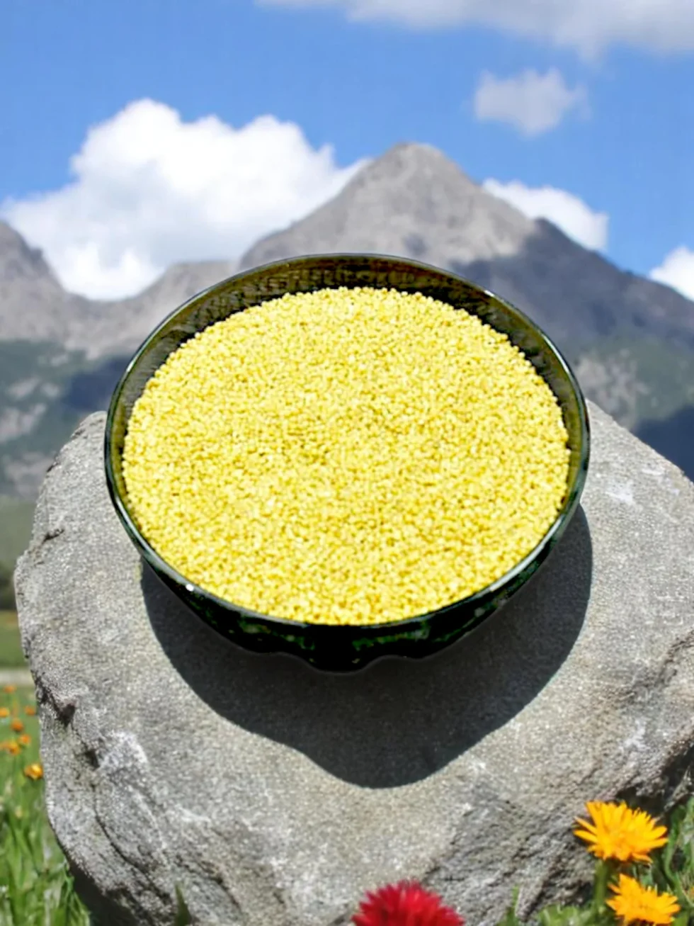 Foxtail Millet Flour (Kangni Ka Atta) – Organic Stone Ground Atta for Roti, Dosa, Chilla