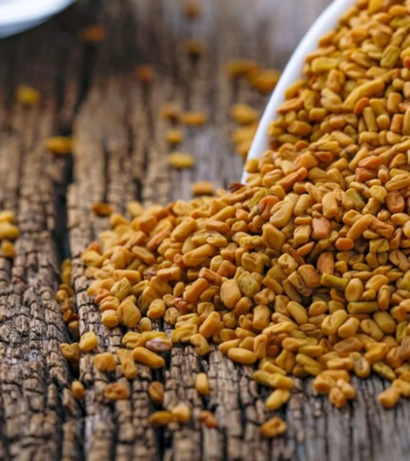 Fresh Organic Methi Seeds Himachal Box