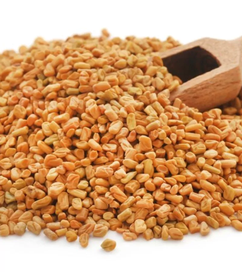Fresh Organic Methi Seeds Himachal Box