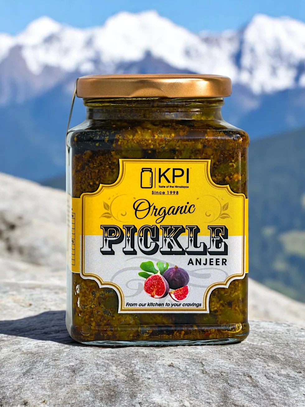 Homemade Organic Fegda/Anjeer (Ficus) Pickle– A Forgotten Forest Superfood in a Jar