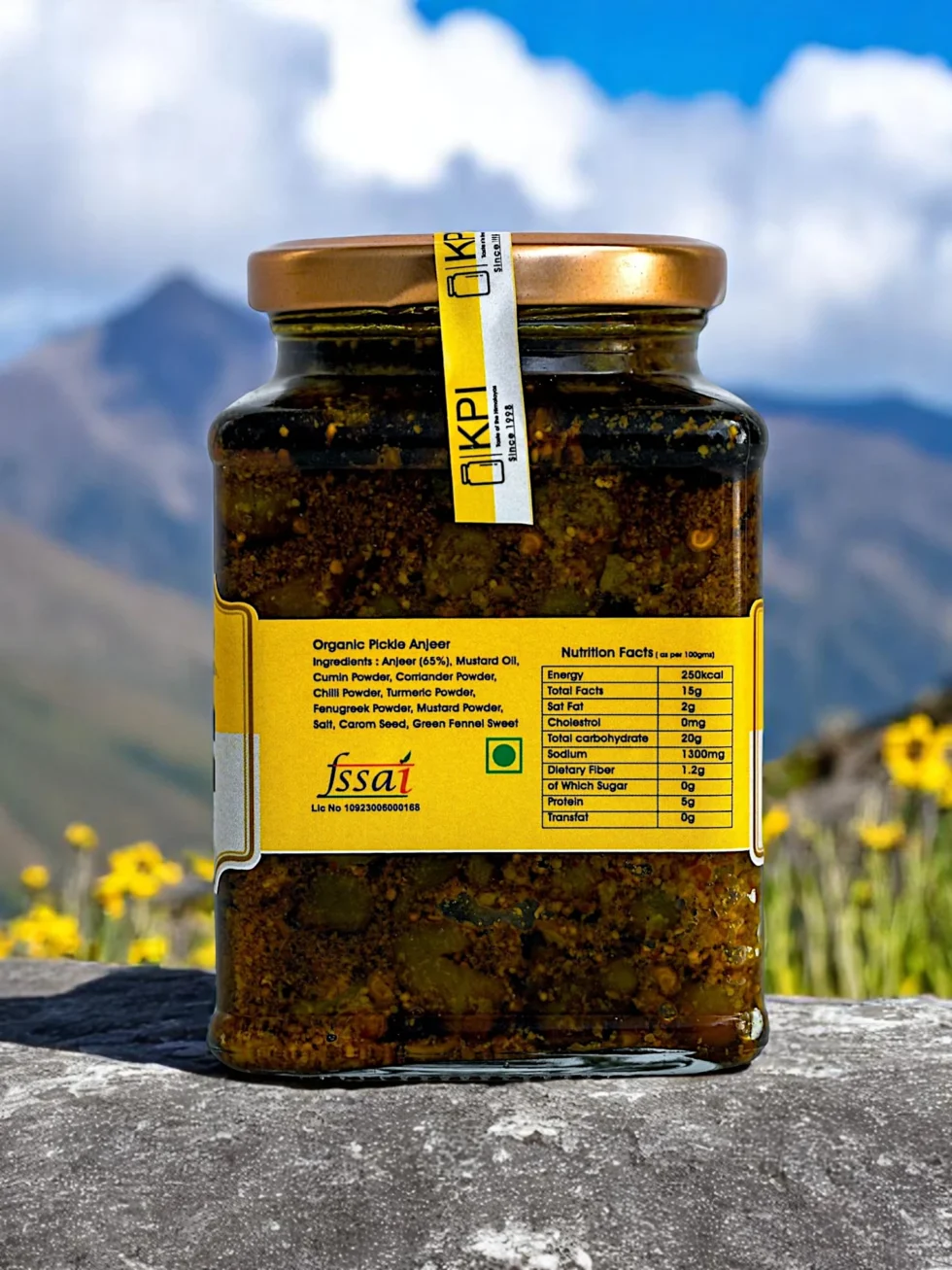 Homemade Organic Fegda/Anjeer (Ficus) Pickle– A Forgotten Forest Superfood in a Jar