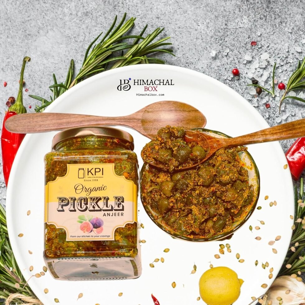 Homemade Organic Fegda/Anjeer (Ficus) Pickle– A Forgotten Forest Superfood in a Jar