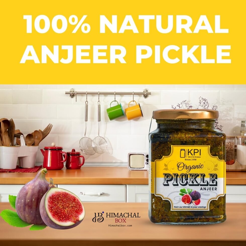 Homemade Organic Fegda/Anjeer (Ficus) Pickle– A Forgotten Forest Superfood in a Jar