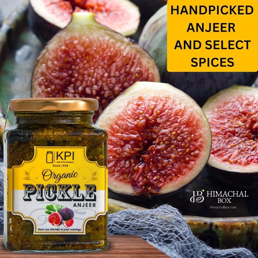 Homemade Organic Fegda/Anjeer (Ficus) Pickle– A Forgotten Forest Superfood in a Jar