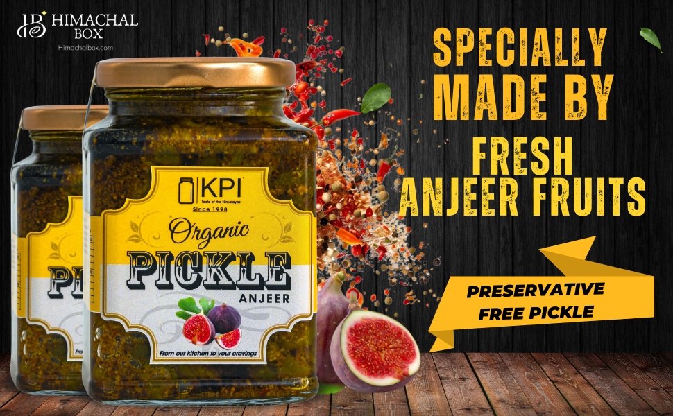 Homemade Organic Fegda (Ficus) Pickle – A Forgotten Forest Superfood in a Jar - Himachalbox.com