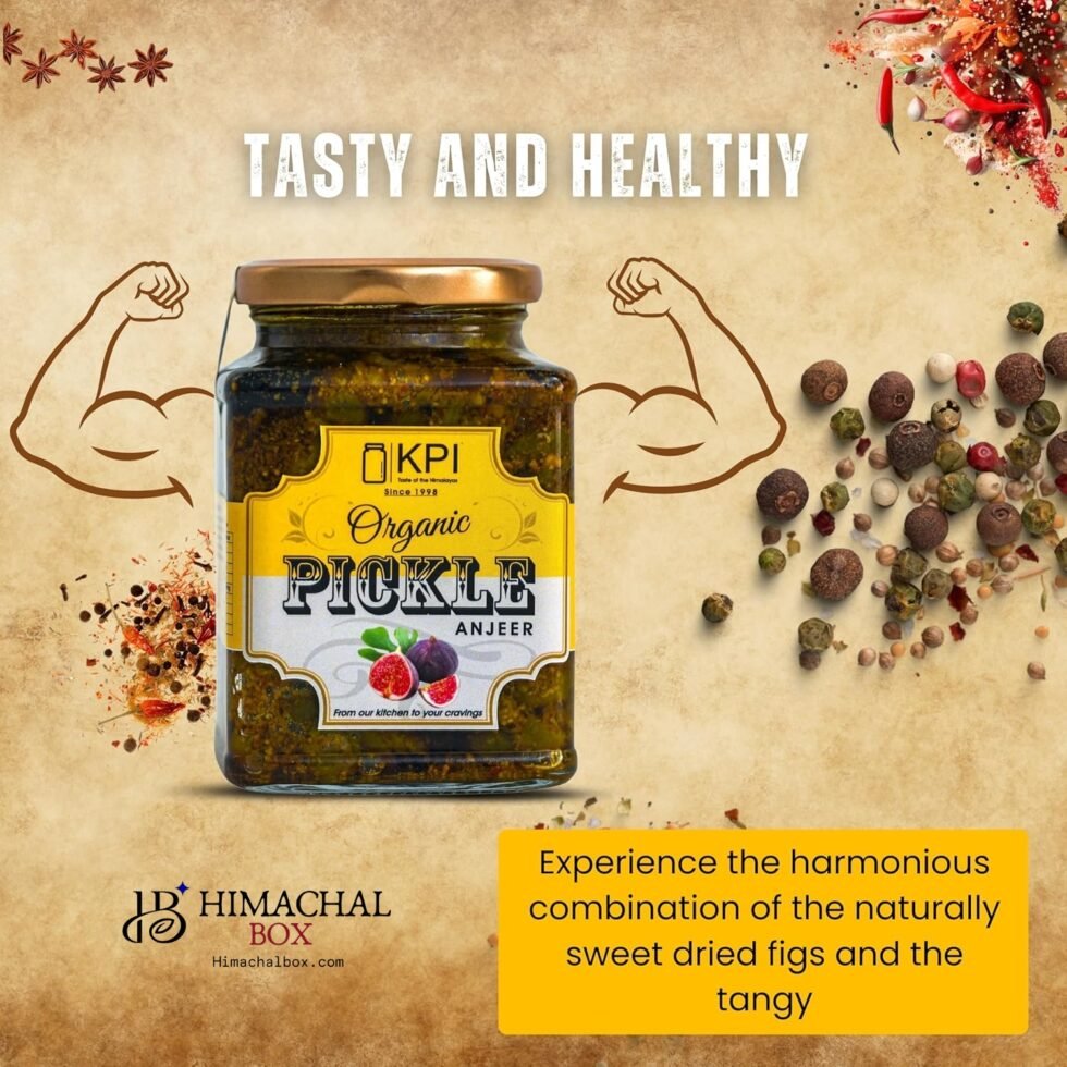 Homemade Organic Fegda/Anjeer (Ficus) Pickle– A Forgotten Forest Superfood in a Jar