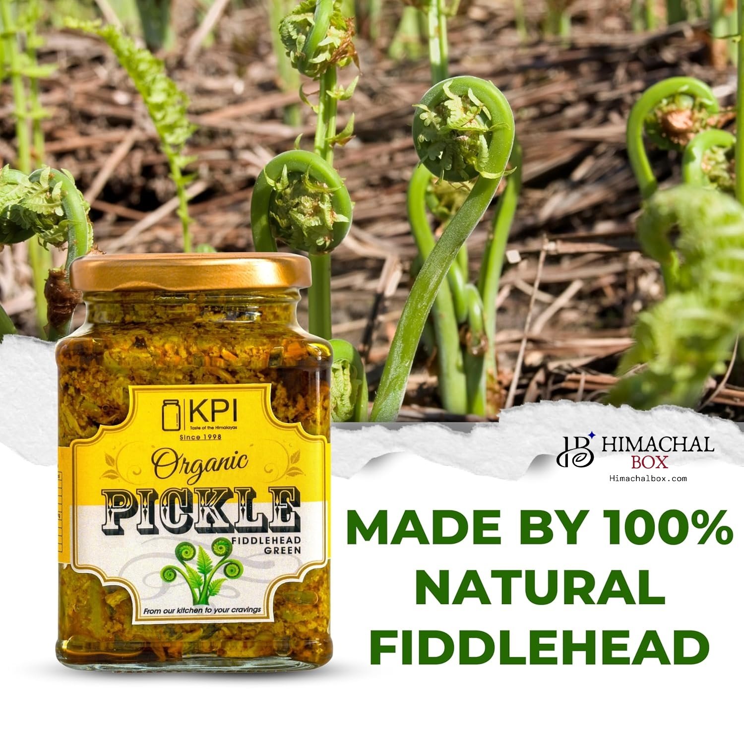 πΏ Homemade Organic Lingdi / Fern Fiddlehead Pickle β A Wild Himachali Delight - Image 7
