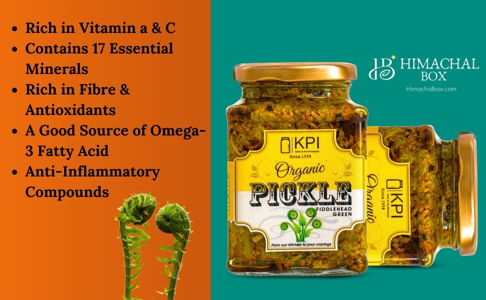 Homemade Organic Lingdi Fern Fiddlehead Pickle - Himachal Box - Order Online