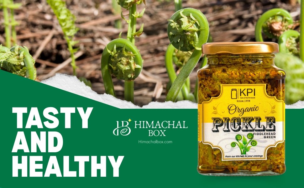 Homemade Organic Lingdi Fern Fiddlehead Pickle - Himachal Box - Order Online