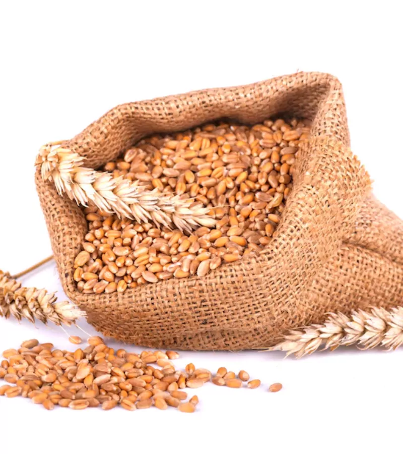 Jau Barley Seeds organic Jau Seeds by Himachal Box with Pahadi Goods
