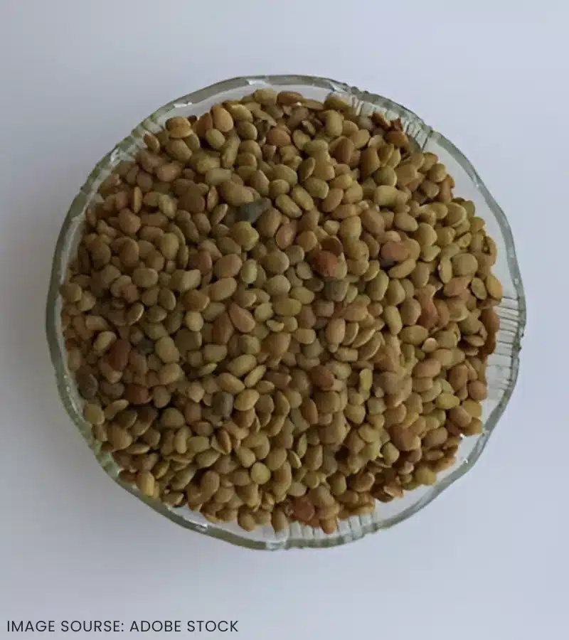 fresh-kulthi-dal-horse-gram-organic-himachalbox