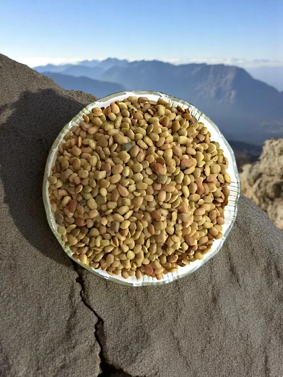 fresh-kulthi-dal-horse-gram-organic-himachalbox