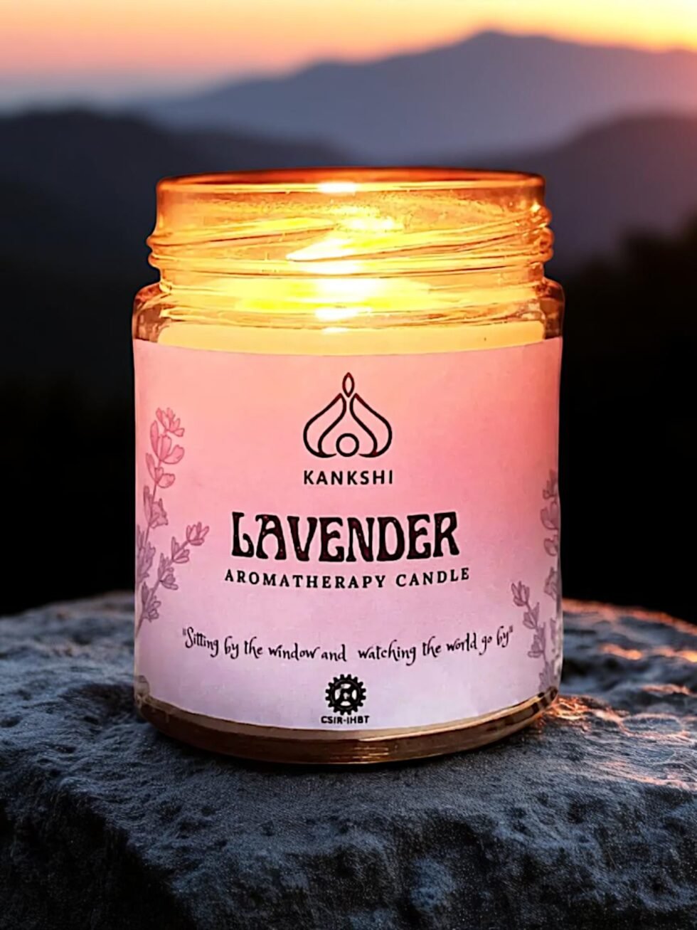 lavender-aromatherapy-candle-himachalbox-soywax-40hr