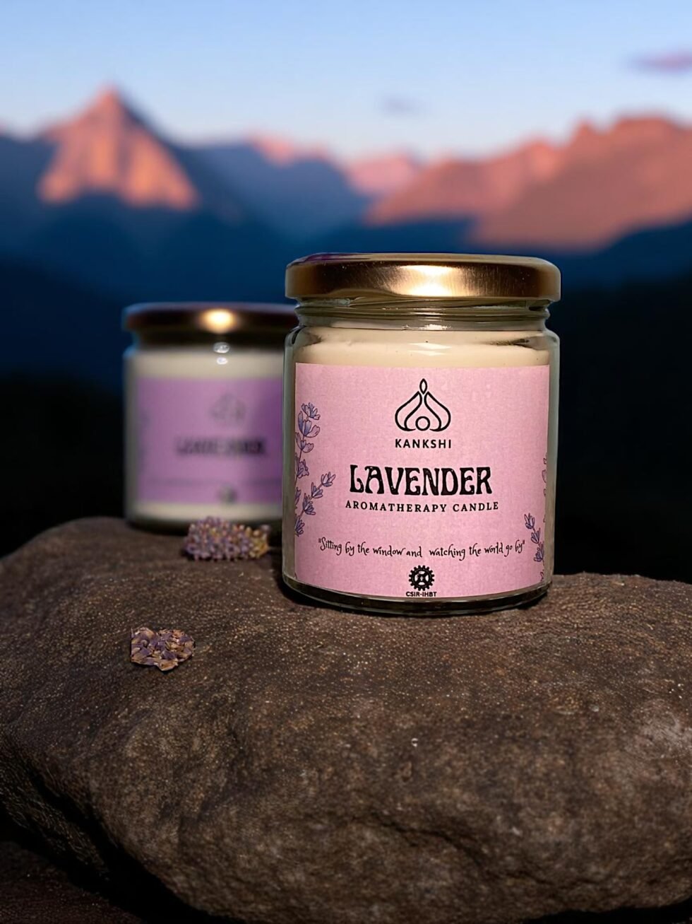 lavender-aromatherapy-candle-himachalbox-soywax-40hr