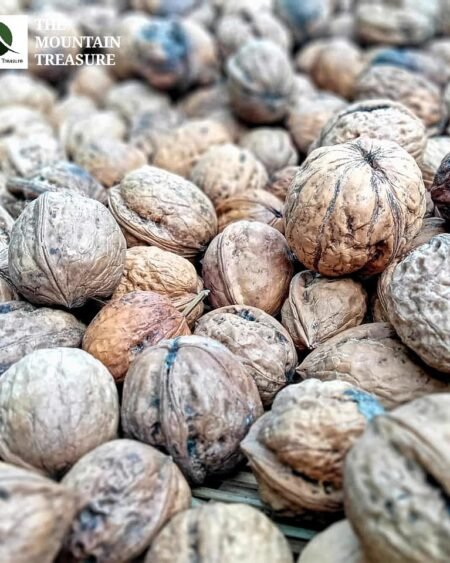 organic-himachali-walnut-kernels-akhrot-giri-himachalbox