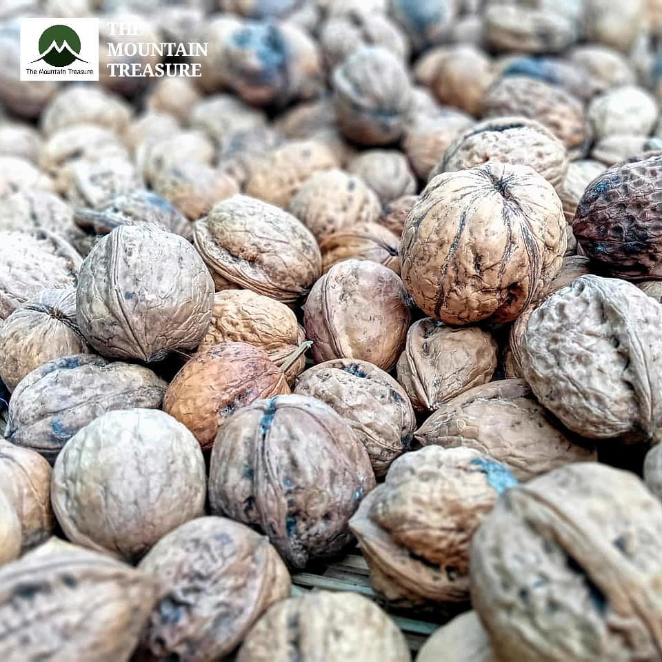 organic-himachali-walnut-kernels-akhrot-giri-himachalbox