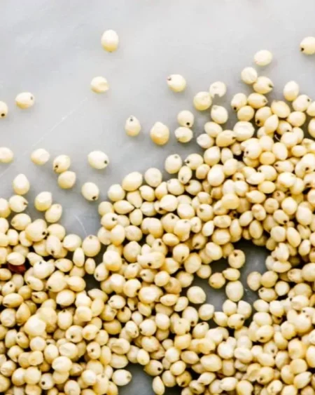 organic-jowar-seeds-sorghum-himalayan-grain-himachalbox