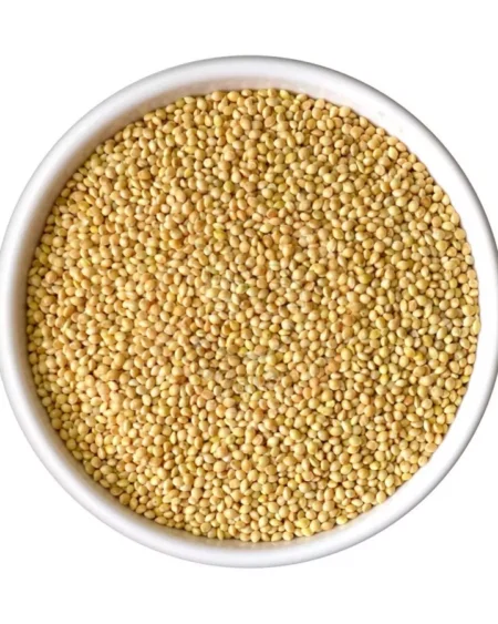 organic-kangni-seeds-foxtail-millet-himachalbox-himalayan