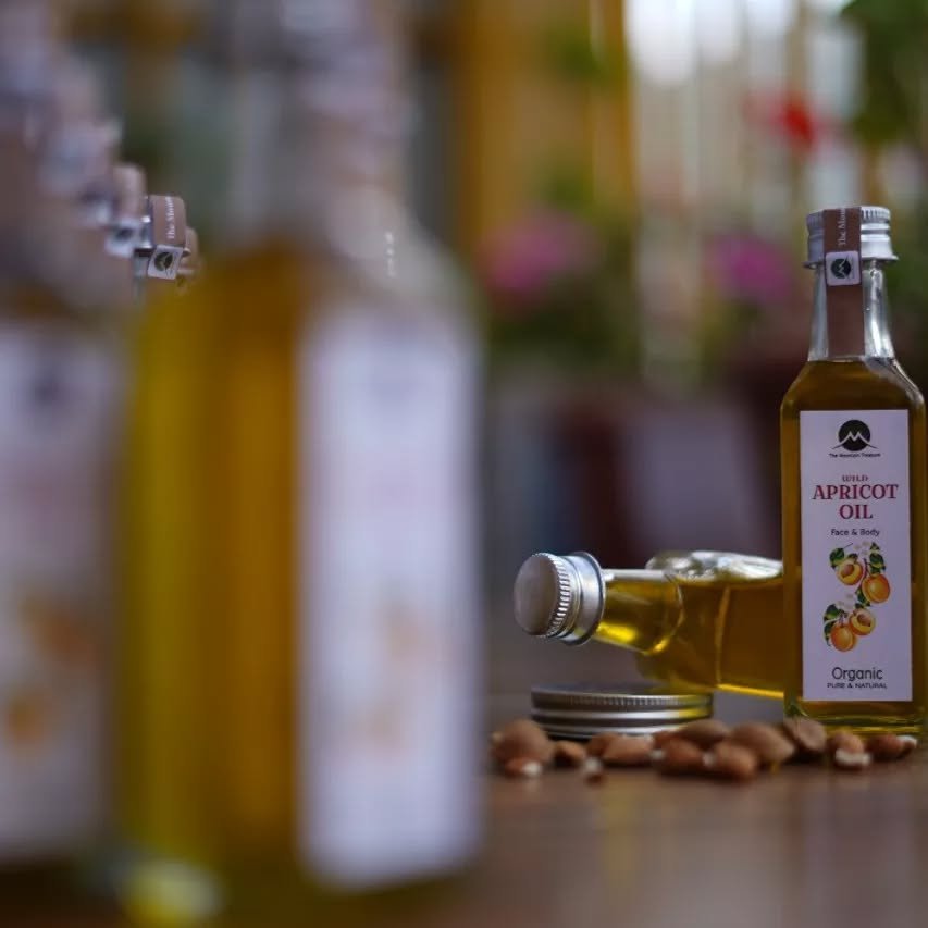 organic-wild-bitter-apricot-oil-himachalbox-coldpressed