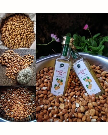 organic-wild-bitter-apricot-oil-himachalbox-coldpressed