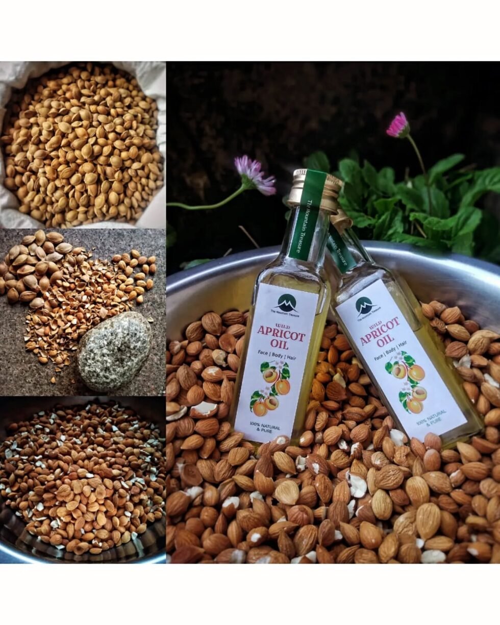 organic-wild-bitter-apricot-oil-himachalbox-coldpressed
