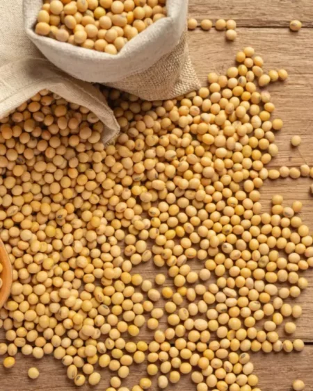 pahadi-soya-bean-dal-bhat-dal-organic-himachalbox