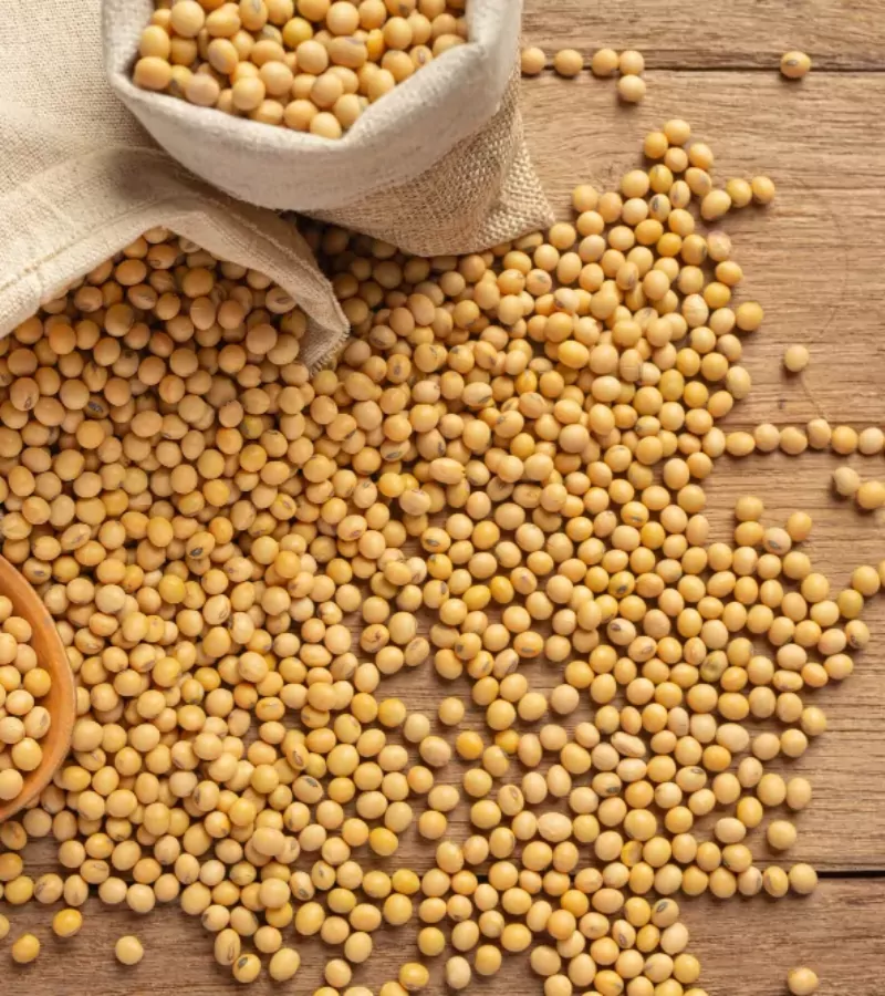 pahadi-soya-bean-dal-bhat-dal-organic-himachalbox