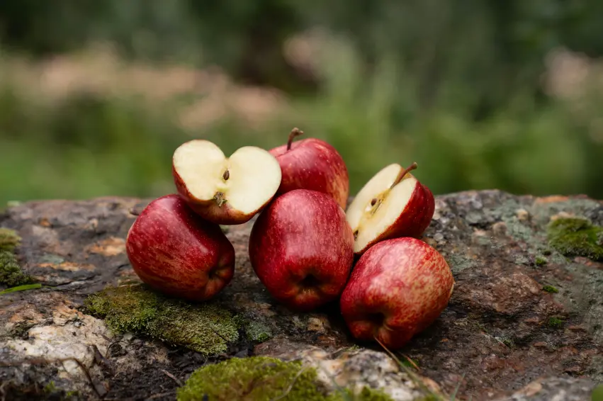 red-royal-kullu-apples-preorder-himachalbox