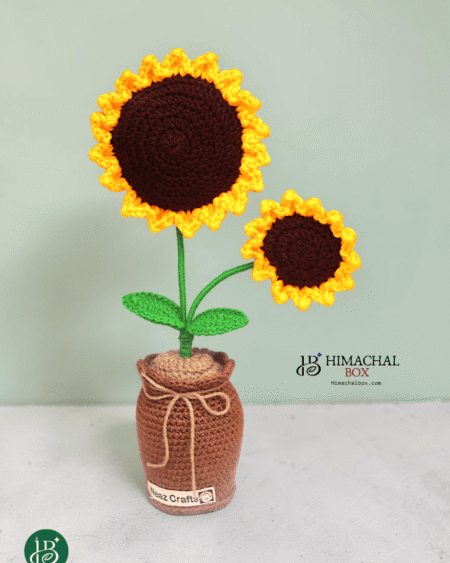 Minimal crochet sunflower pot handmade by Kullu women artisans