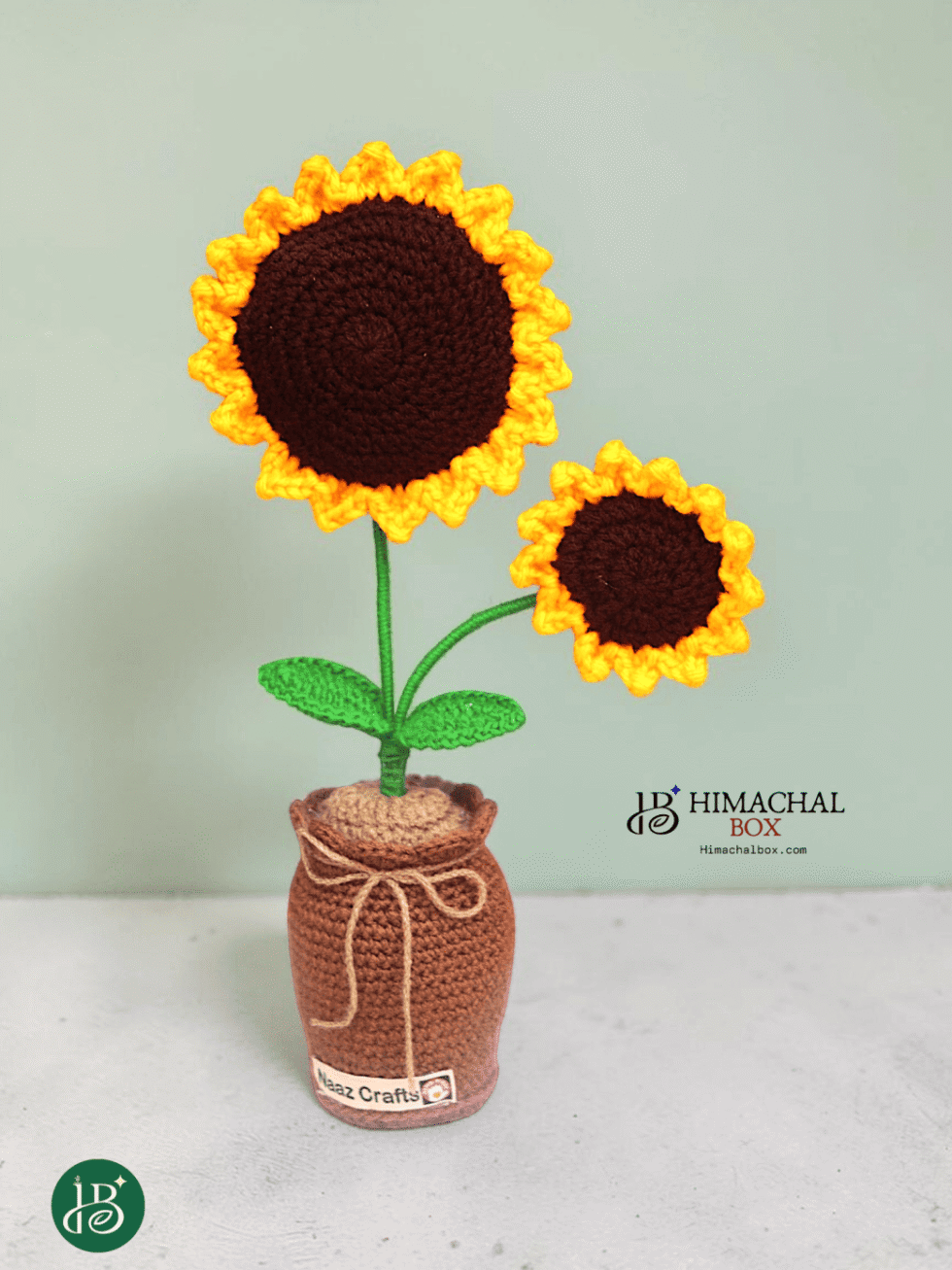 Minimal crochet sunflower pot handmade by Kullu women artisans