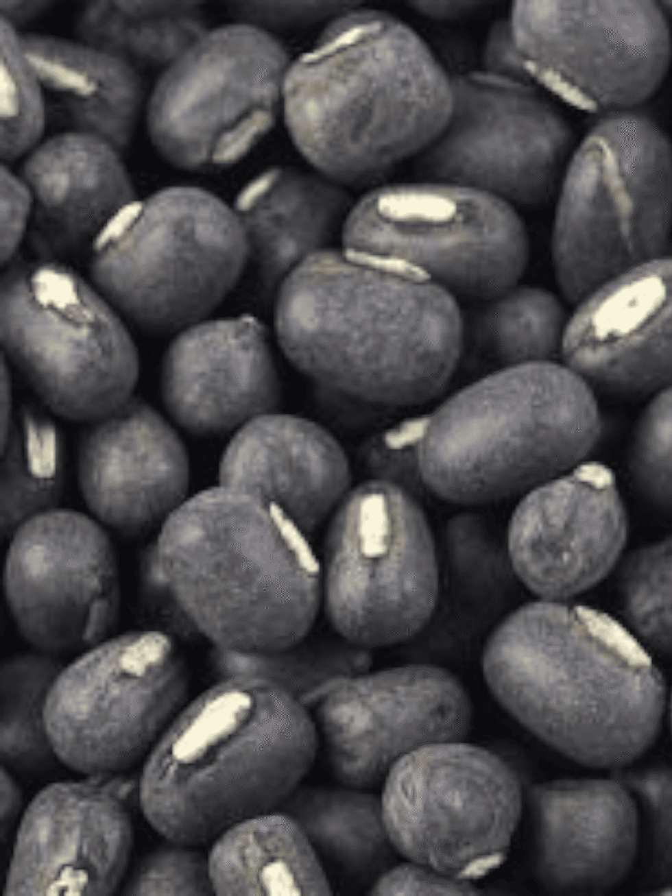 himachali maah ki daal whole urad dal natural