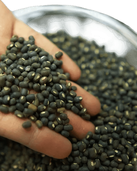 himachali maah ki daal whole urad dal natural