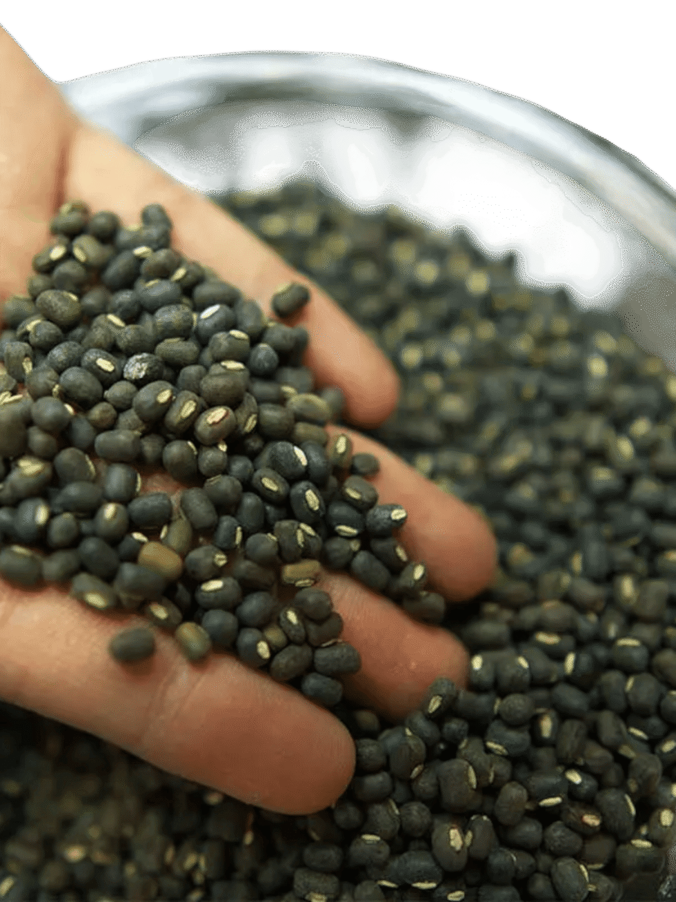himachali maah ki daal whole urad dal natural