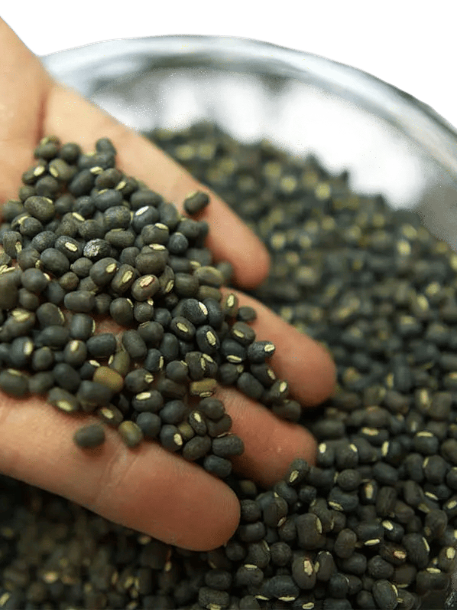 Pahadi Maah Ki Daal – Himachali Whole Urad Dal