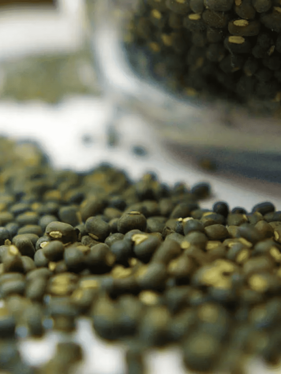 himachali maah ki daal whole urad dal natural