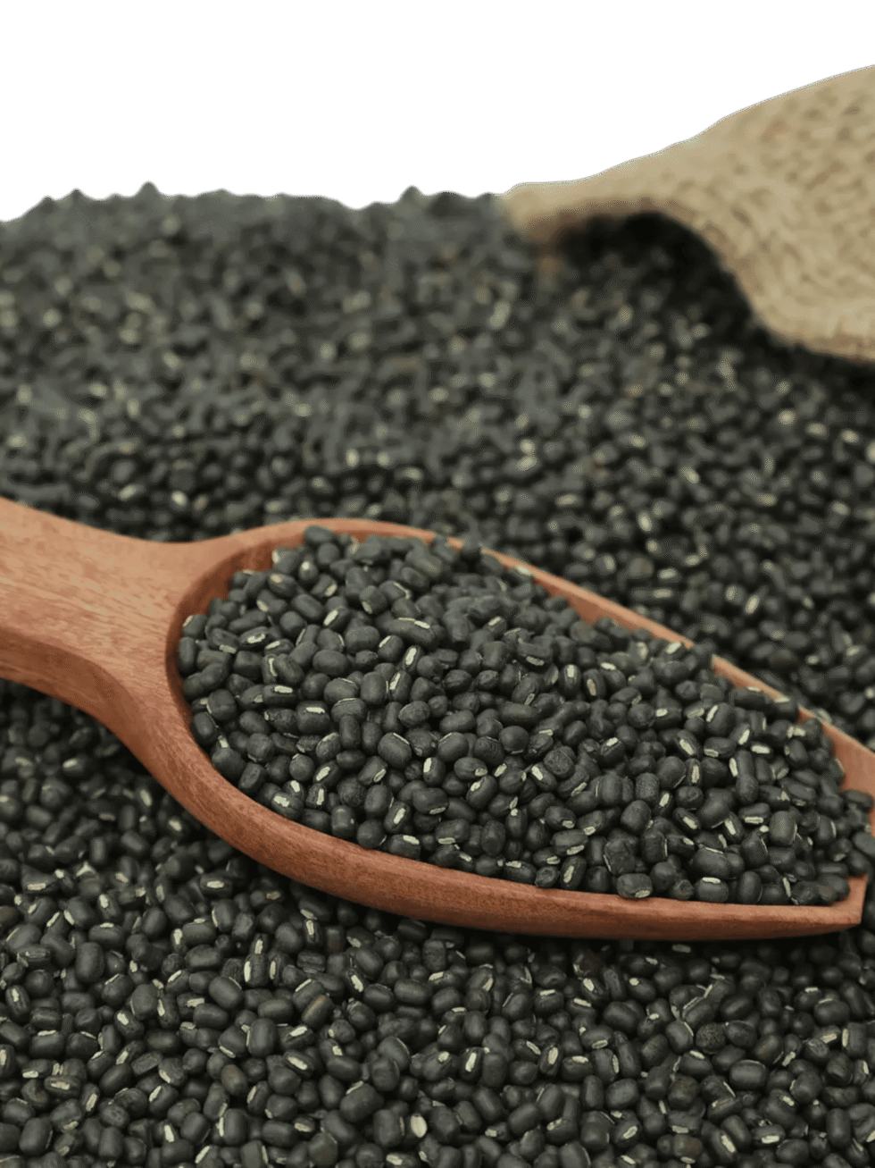 himachali maah ki daal whole urad dal natural